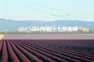 那曲中国十七块金牌