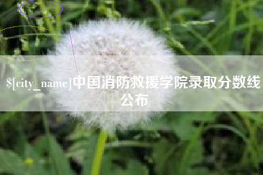 那曲中国消防救援学院录取分数线公布