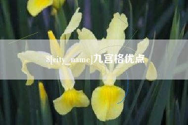 那曲九宫格优点