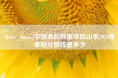 那曲中国消防救援学院山东2020年录取分数线是多少