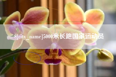 那曲5000米长跑国家运动员