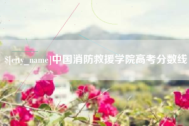 那曲中国消防救援学院高考分数线