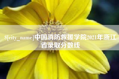 那曲中国消防救援学院2021年浙江省录取分数线