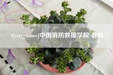 那曲中国消防救援学院 老师