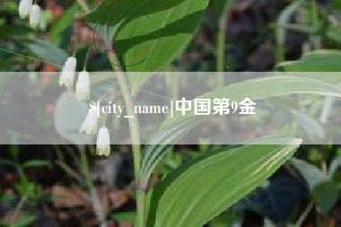 那曲中国第9金