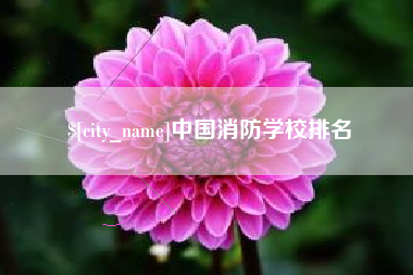 那曲中国消防学校排名