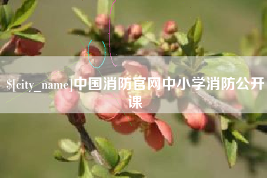 那曲中国消防官网中小学消防公开课