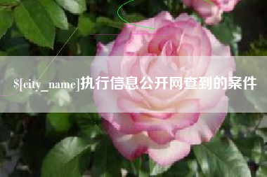那曲执行信息公开网查到的案件