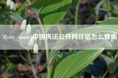 那曲中国执法公开网征信怎么查询