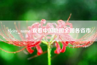 那曲查看中国地图全图各省市