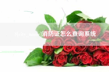 那曲消防证怎么查询系统