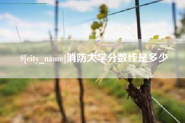 那曲消防大学分数线是多少