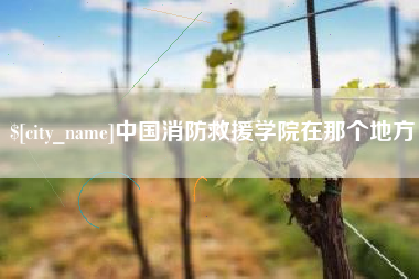 那曲中国消防救援学院在那个地方