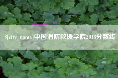 那曲中国消防救援学院2018分数线