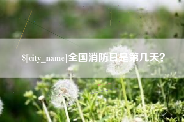 那曲全国消防日是第几天？
