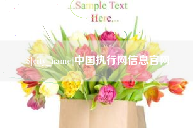 那曲中国执行网信息官网