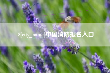 那曲中国消防报名入口