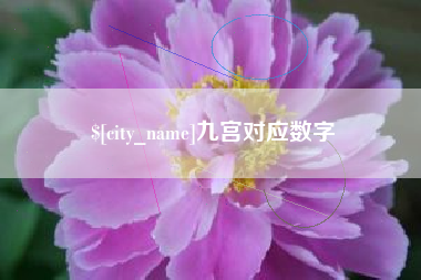 那曲九宫对应数字