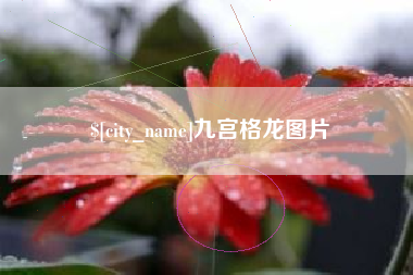 那曲九宫格龙图片