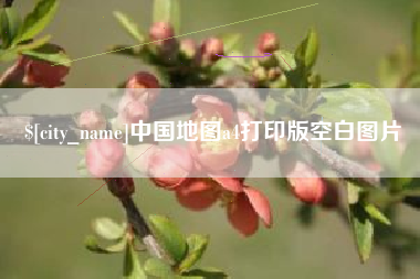 那曲中国地图a4打印版空白图片