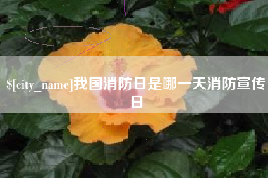 那曲我国消防日是哪一天消防宣传日