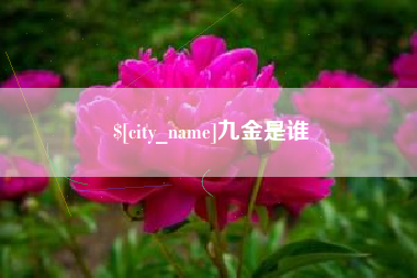 那曲九金是谁