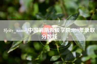 那曲中国消防救援学院2019年录取分数线
