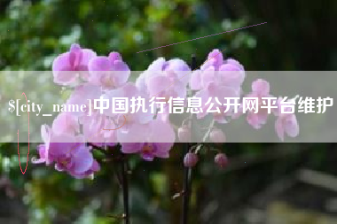 那曲中国执行信息公开网平台维护