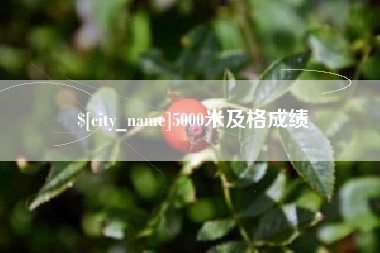 那曲5000米及格成绩