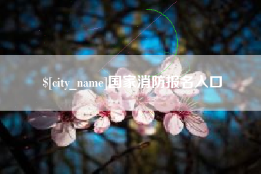 那曲国家消防报名入口