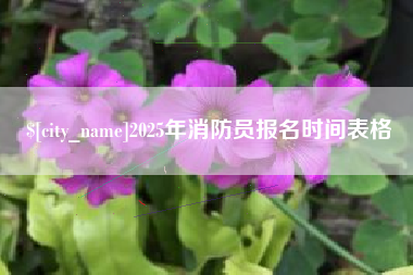 那曲2025年消防员报名时间表格