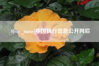 那曲中国执行信息公开网后