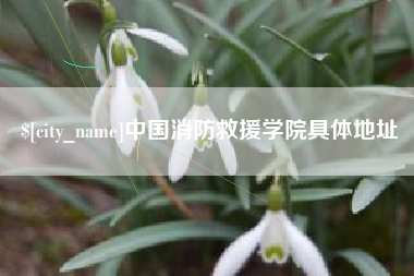 那曲中国消防救援学院具体地址