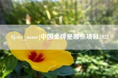 那曲中国金牌是哪些项目2021