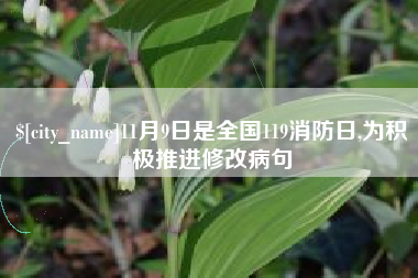 那曲11月9日是全国119消防日,为积极推进修改病句