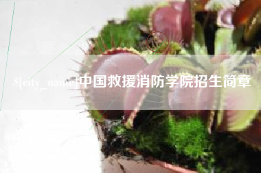 那曲中国救援消防学院招生简章