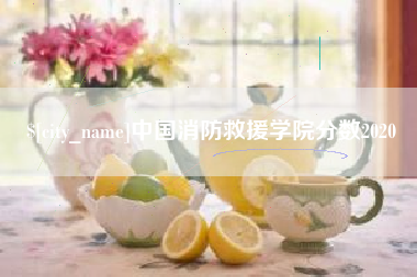 那曲中国消防救援学院分数2020