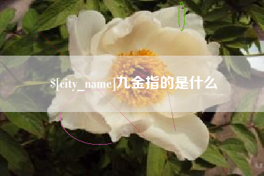 那曲九金指的是什么