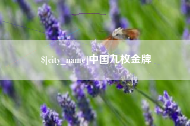 那曲中国九枚金牌