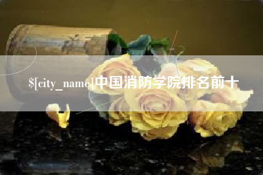 那曲中国消防学院排名前十