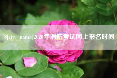 那曲2020年消防考试网上报名时间