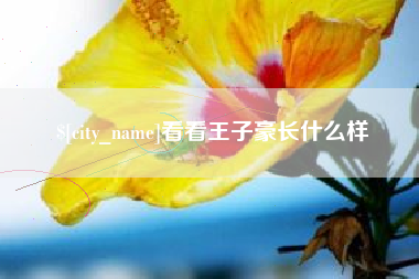 那曲看看王子豪长什么样