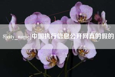 那曲中国执行信息公开网真的假的