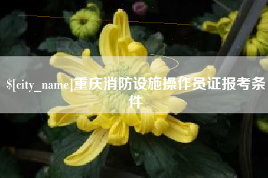 那曲重庆消防设施操作员证报考条件