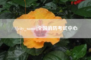 那曲全国消防考试中心
