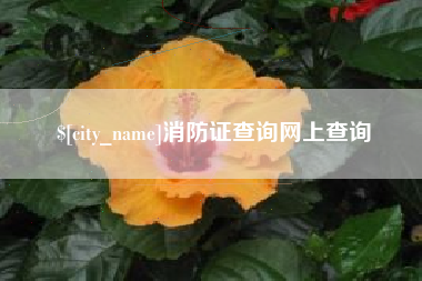 那曲消防证查询网上查询