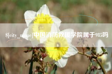 那曲中国消防救援学院属于985吗