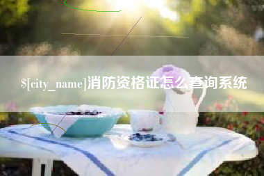 那曲消防资格证怎么查询系统