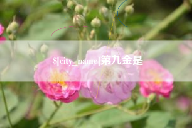 那曲第九金是