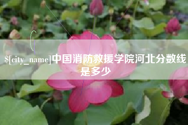 那曲中国消防救援学院河北分数线是多少